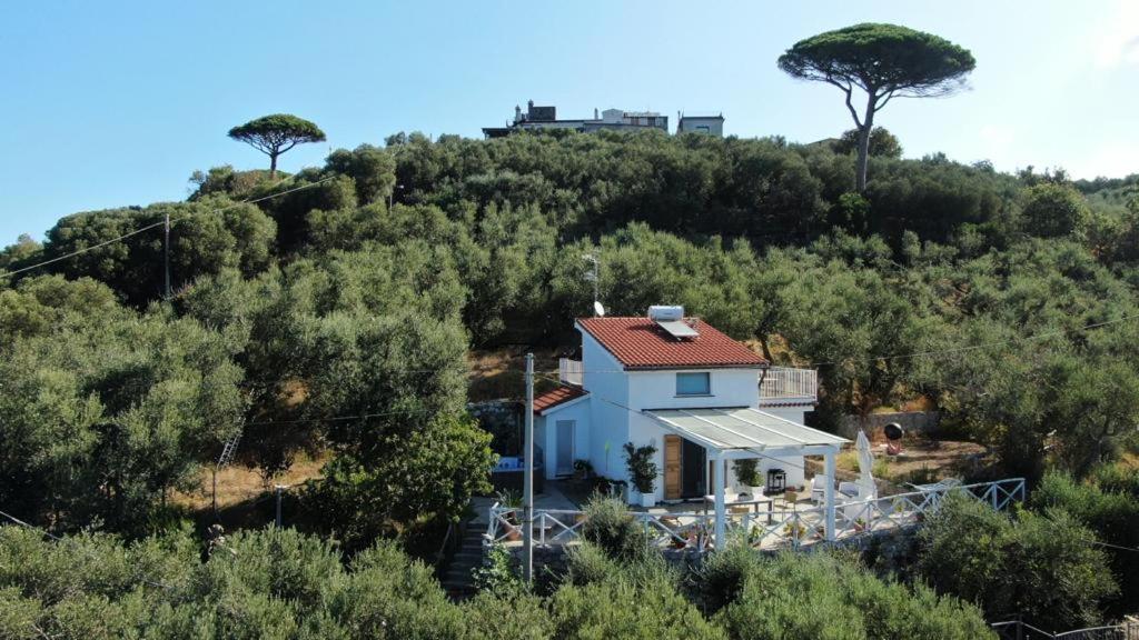 Villa Manu Massa Lubrense Esterno foto