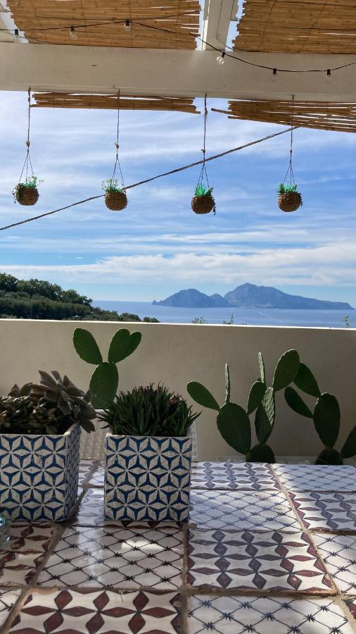 Villa Manu Massa Lubrense Esterno foto