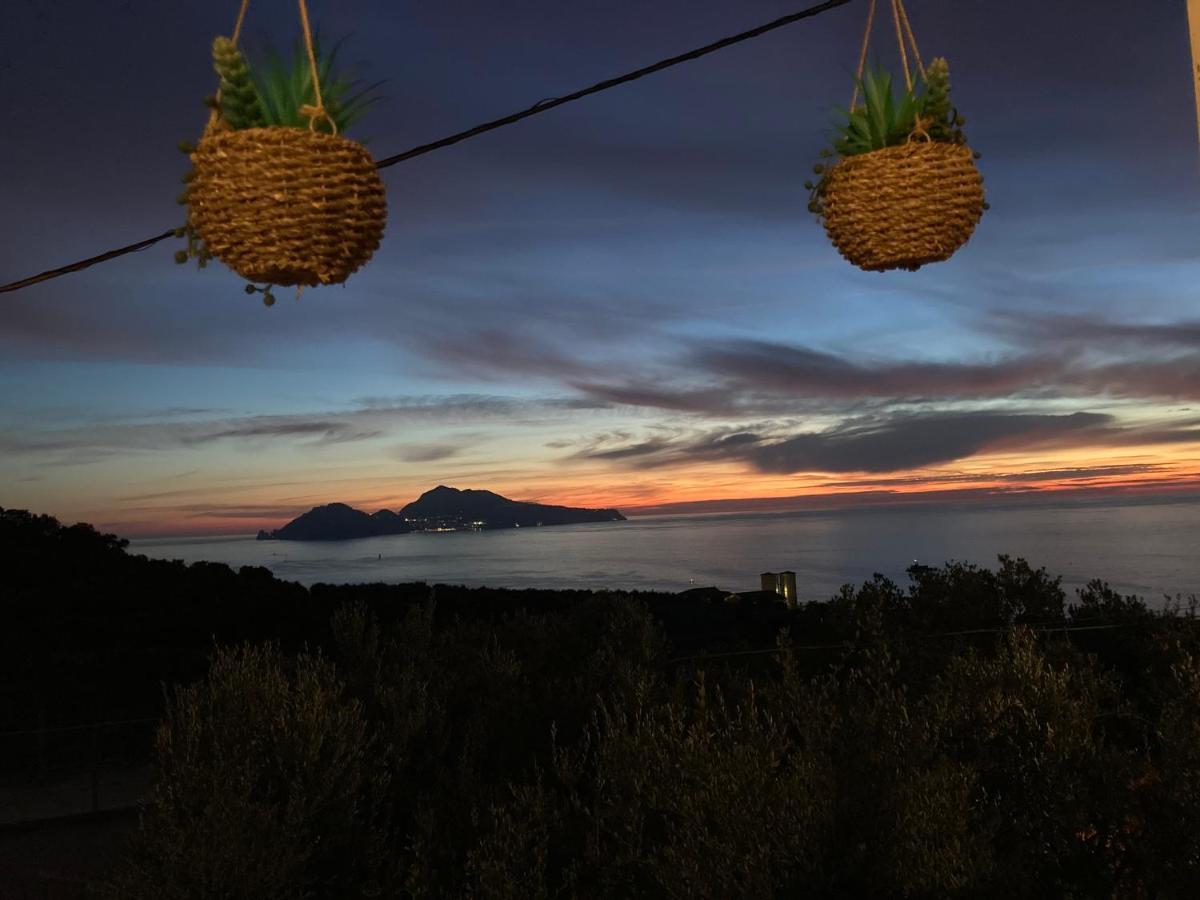 Villa Manu Massa Lubrense Esterno foto