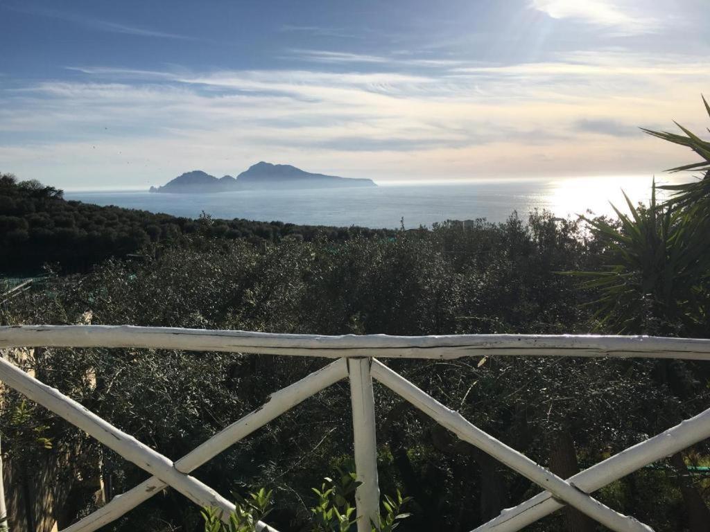 Villa Manu Massa Lubrense Esterno foto