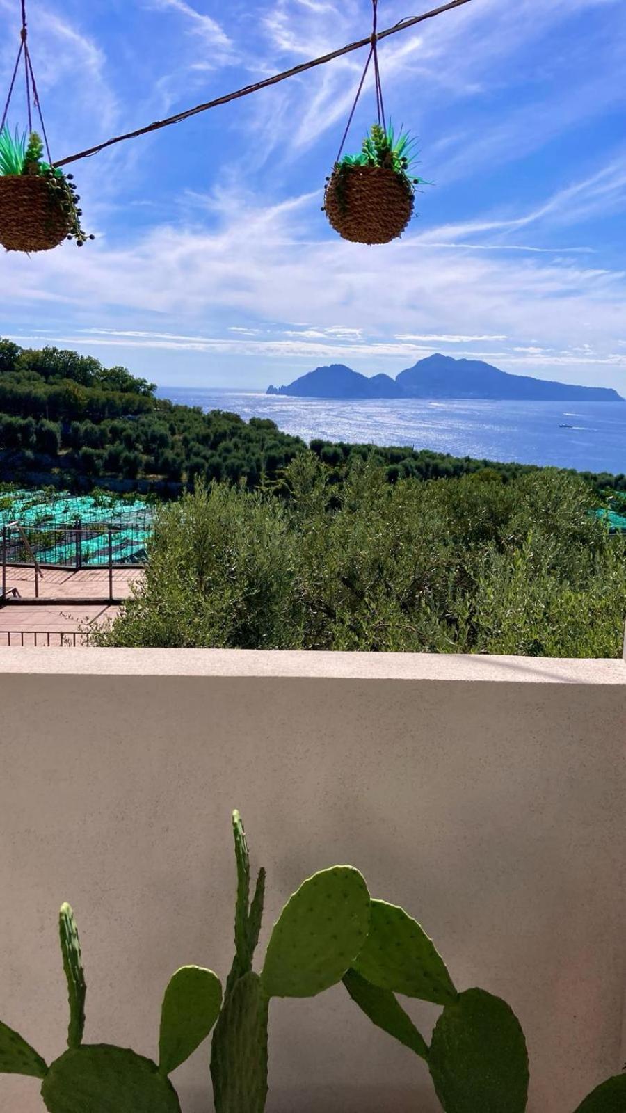 Villa Manu Massa Lubrense Esterno foto