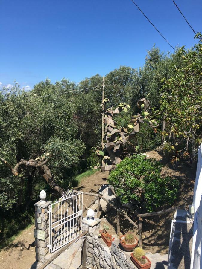 Villa Manu Massa Lubrense Esterno foto
